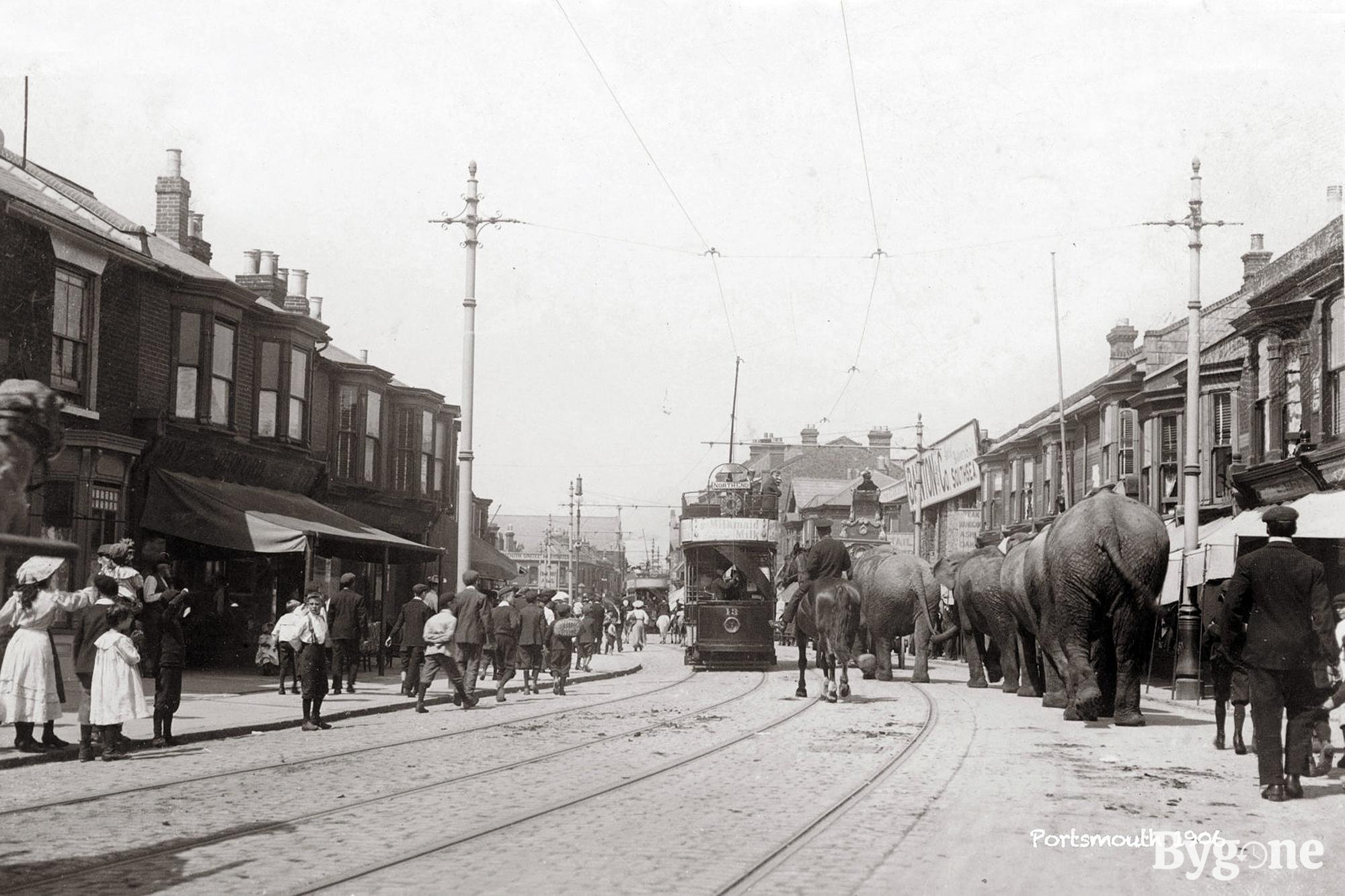 Landscape of a tramline with a tram in the centre and four elephants walking up the road. There is a procession of children and people walking along the street on the other side of the road and a man on a horse walking alongside the elephants.