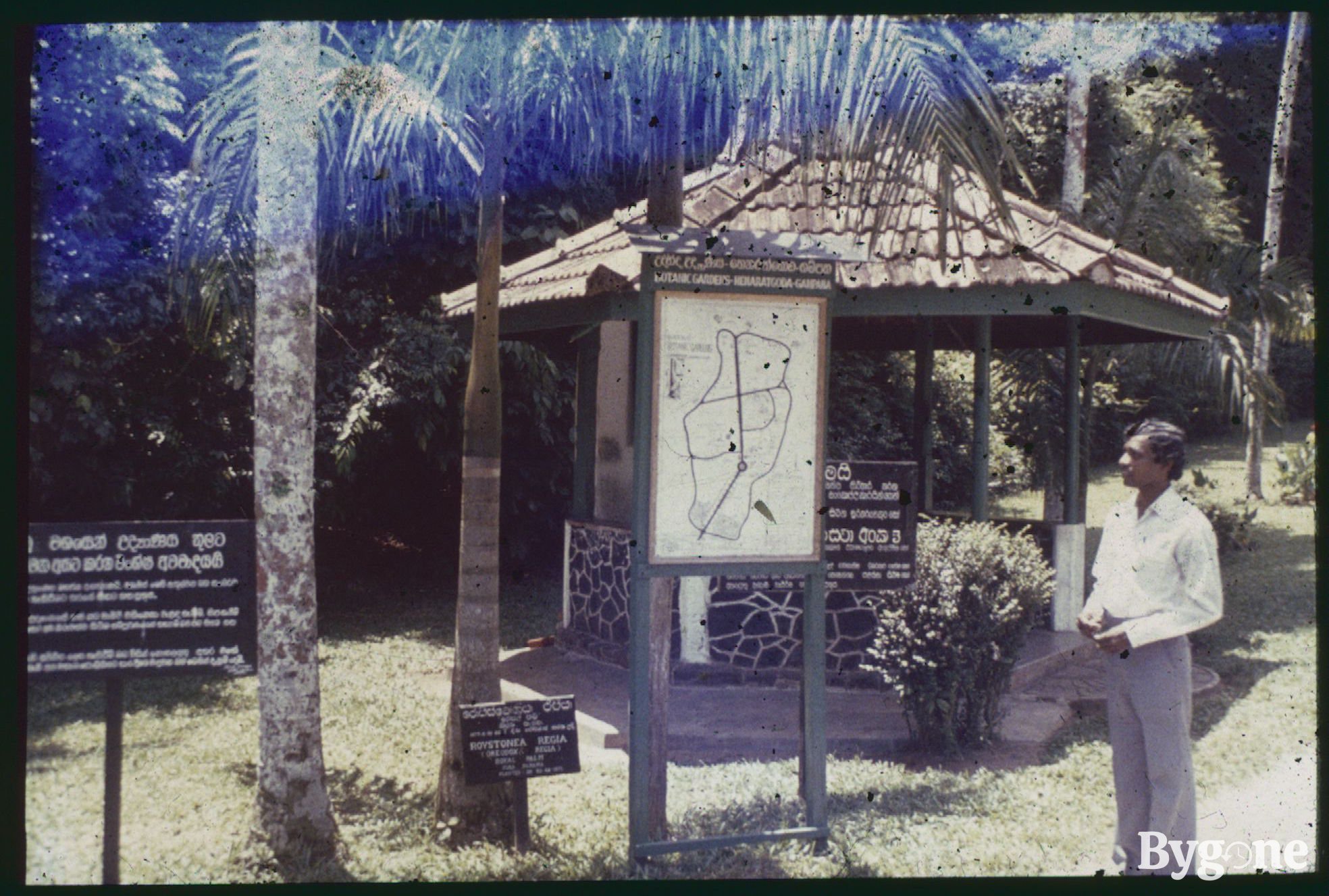 A Brown man with dark short curly hair, wearing a white shirt and light grey trousers is standing next to an entrance sign. The sign reads Botanic Gardens - Henaratgoda - Gampara and depicts a simple line map of the site. A large gazebo can be seen just behind the man and sign. The slide has incurred some damage or possible light leak, turning the top edge of the image an eclectic blue with a scattering of black spots.