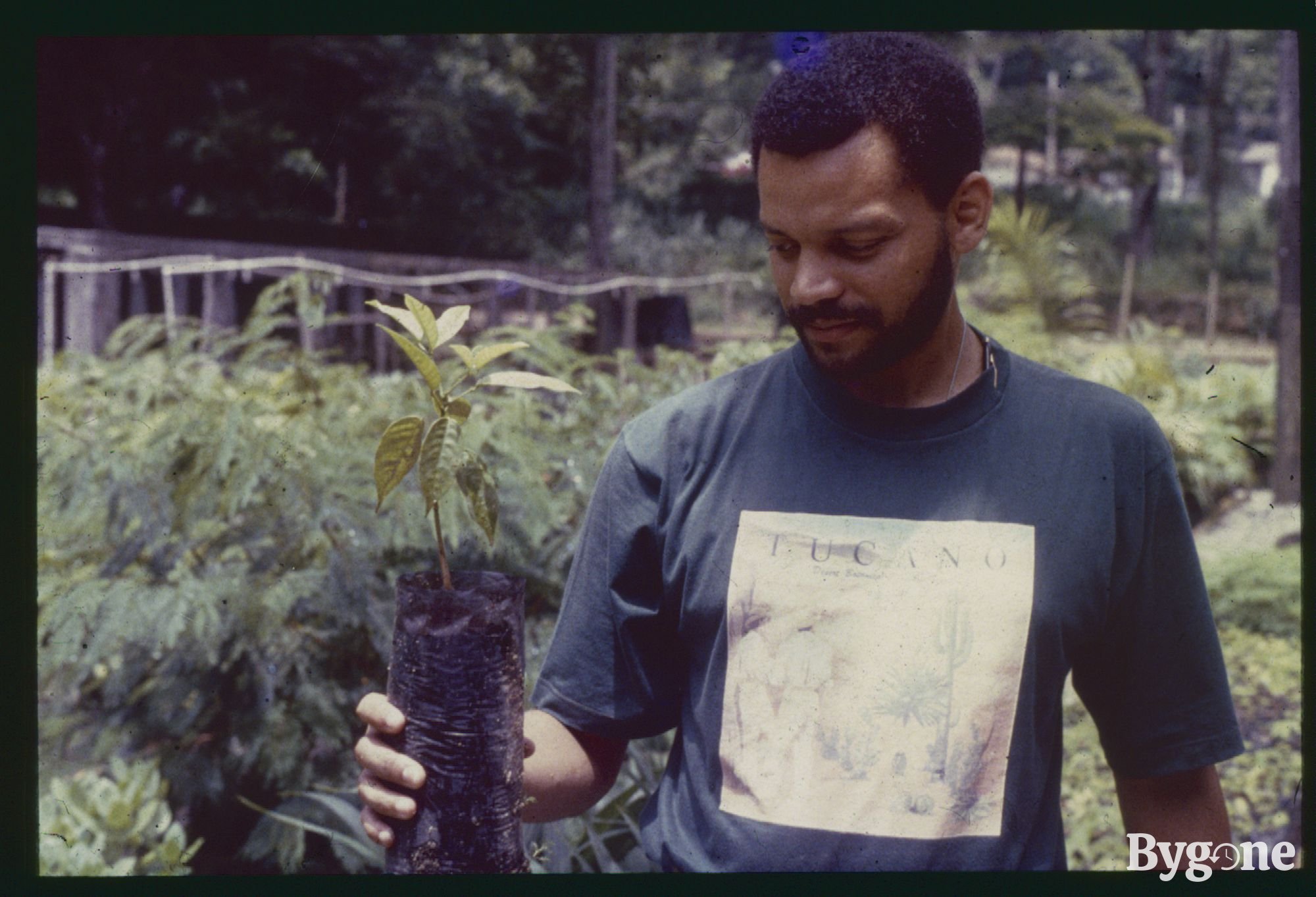 Man Holding a Tree Sapling - Growing Concerns