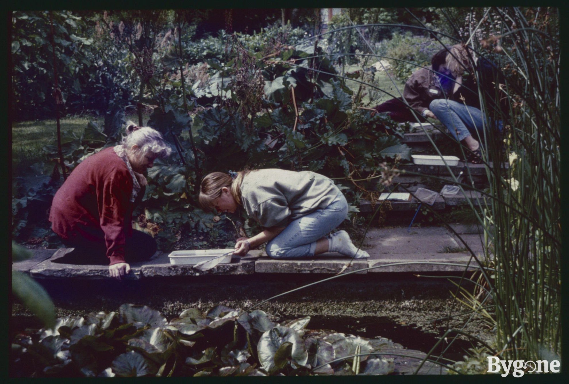Two white women are sitting by the side of a large pond, one of the women is holding a small net in her left hand, and they are both excitedly peering down into a white tray. Just behind and to the right of the frame are stone steps where another two women are sitting doing the same, with trays and pond dipping nets laid out upon the steps.