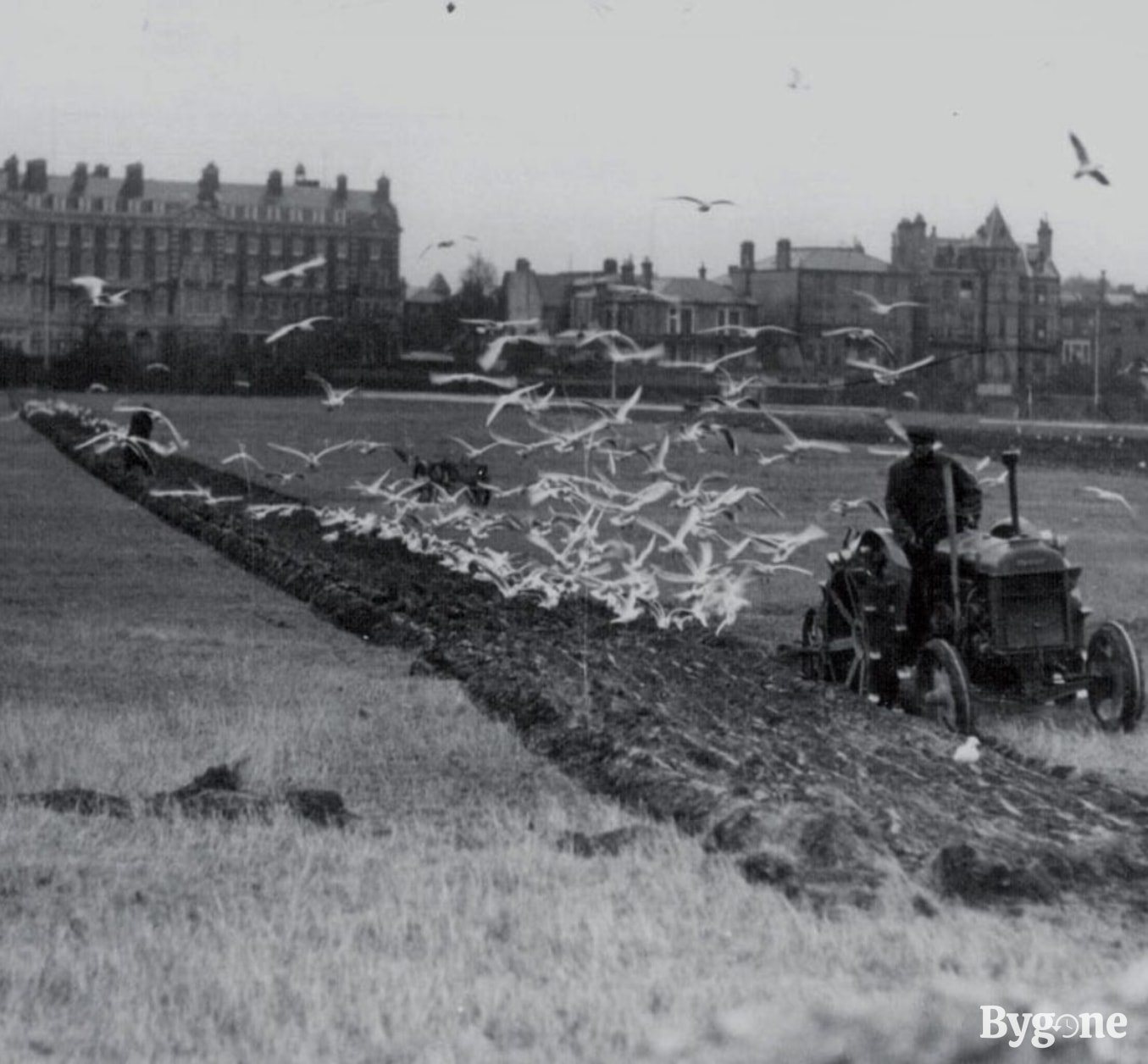 Southsea Common being tilled to grow food for the war effort