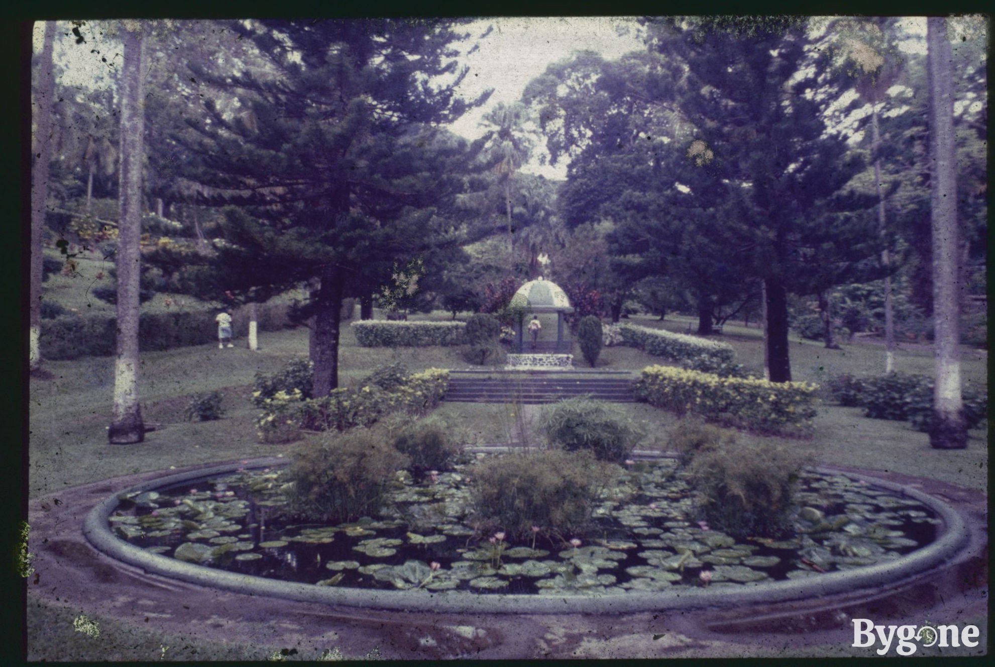 St Vincent Botanical Garden - Growing Concerns