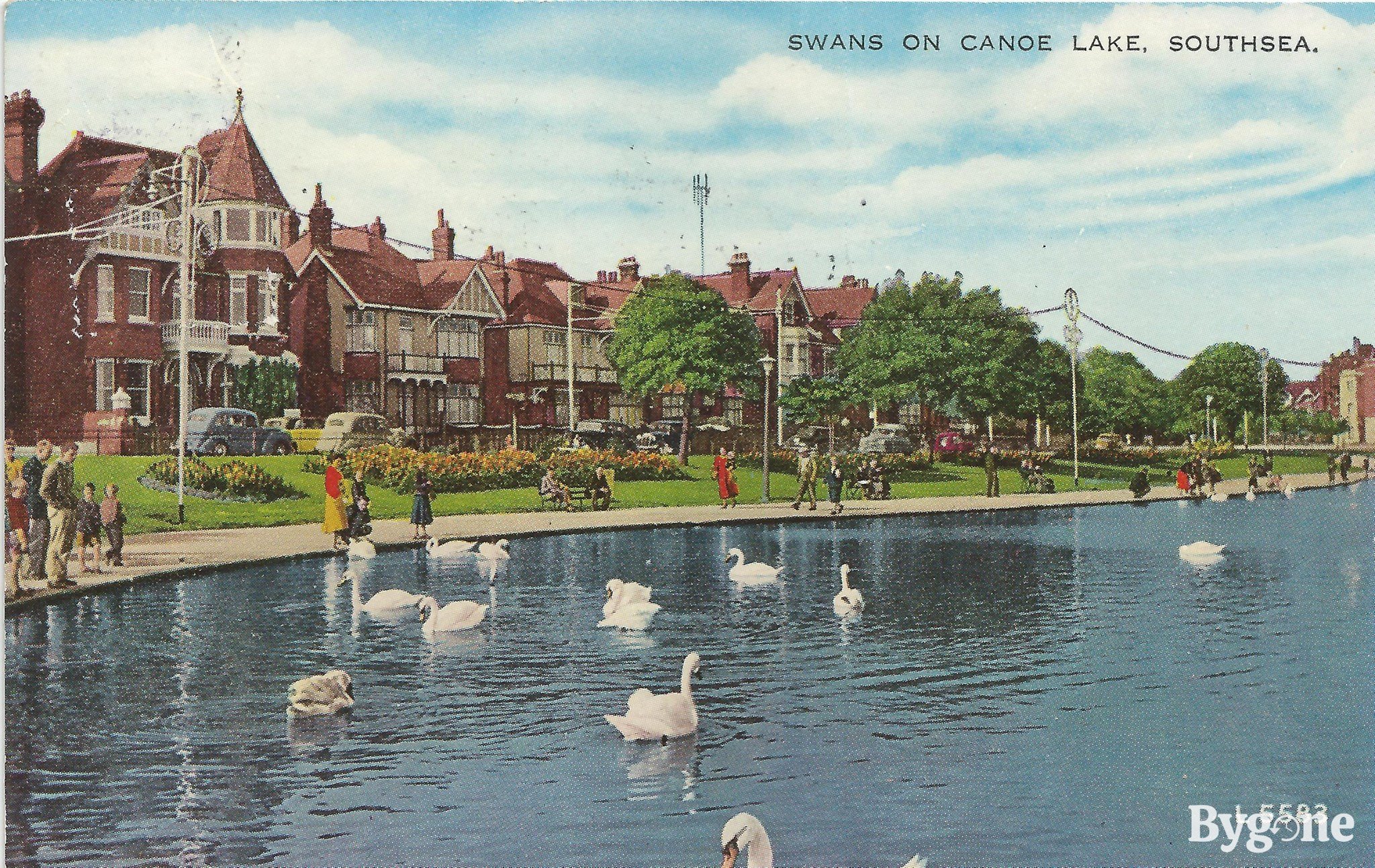 Swans on Canoe Lake
