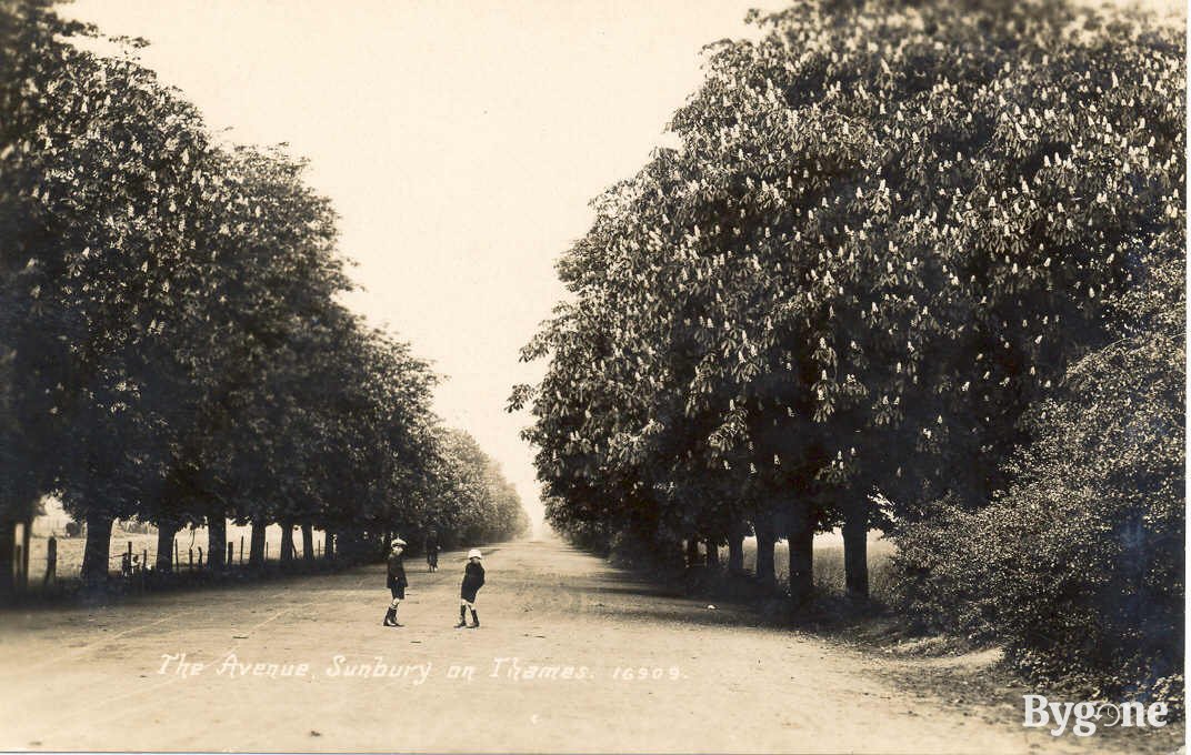 The Avenue, Sunbury on Thames