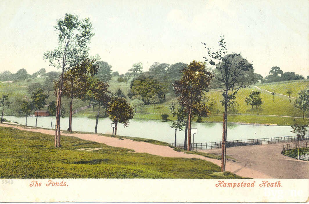 The Ponds, Hampstead Heath