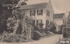 2024_Summer_Various_Pine_bush_NY_0023.jpg