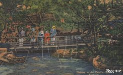 2024_Summer_Various_Pine_bush_NY_0021.jpg