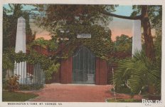 2024_Summer_Various_Pine_bush_NY_0011.jpg