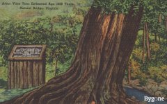 2024_Summer_Various_Pine_bush_NY_0009.jpg