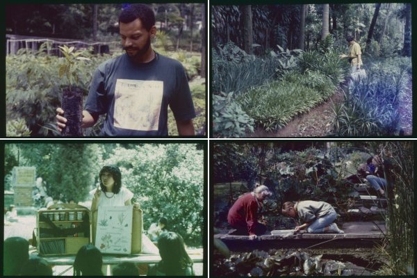 Growing Concerns - Botanic Gardens Conservation International 1992