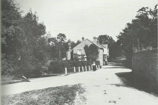 Denmead Pond - early 1900s