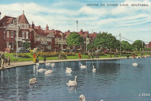Swans on Canoe Lake