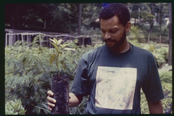 Man Holding a Tree Sapling - Growing Concerns